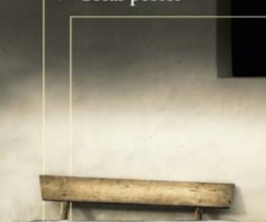«Cosas peores», Margarita García Robayo